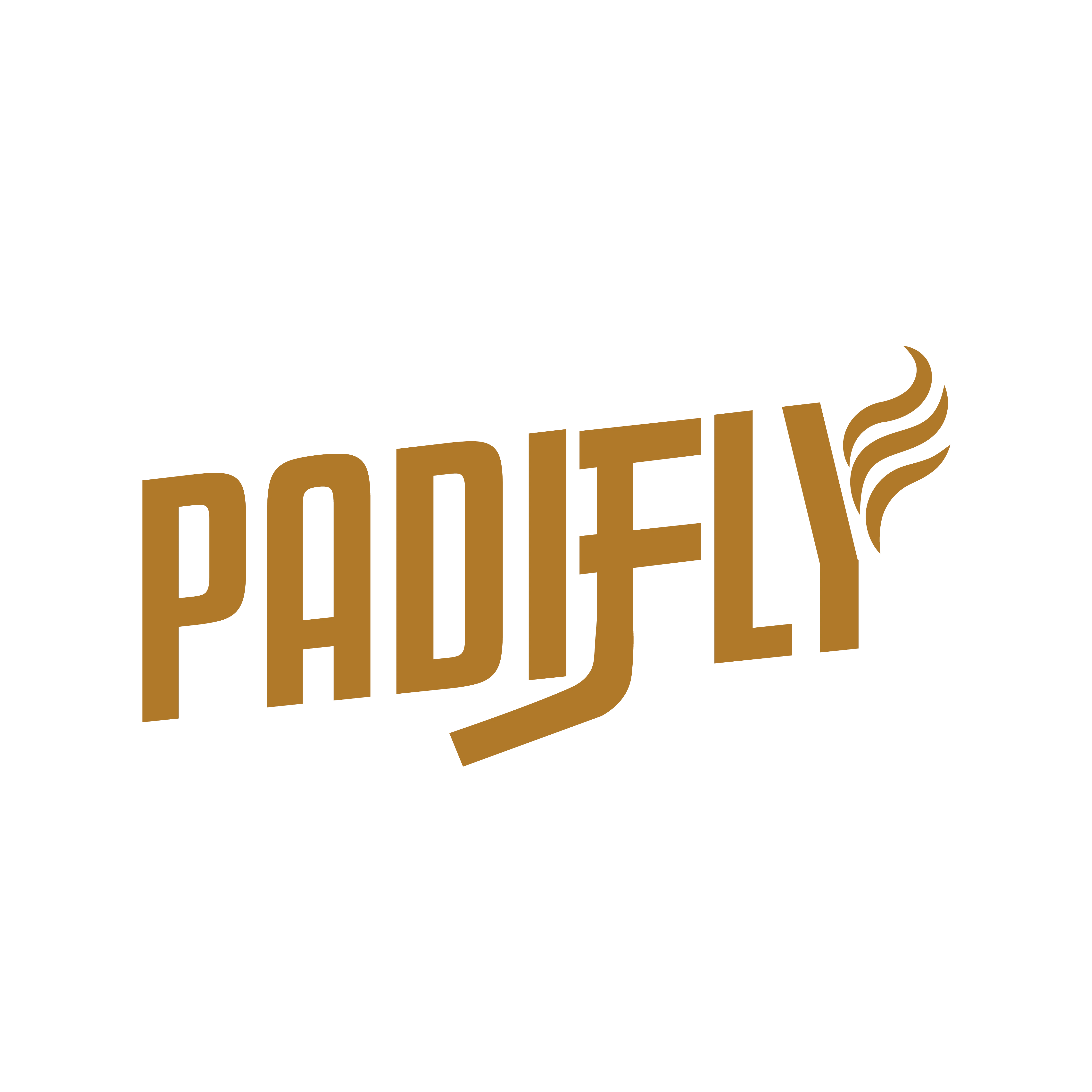 Padifly